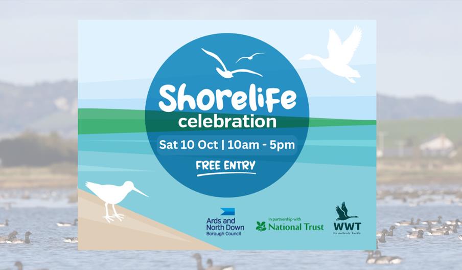 Shorelife Celebration design graphic with an image of Brent Geese on Strangford Lough in the backdrop