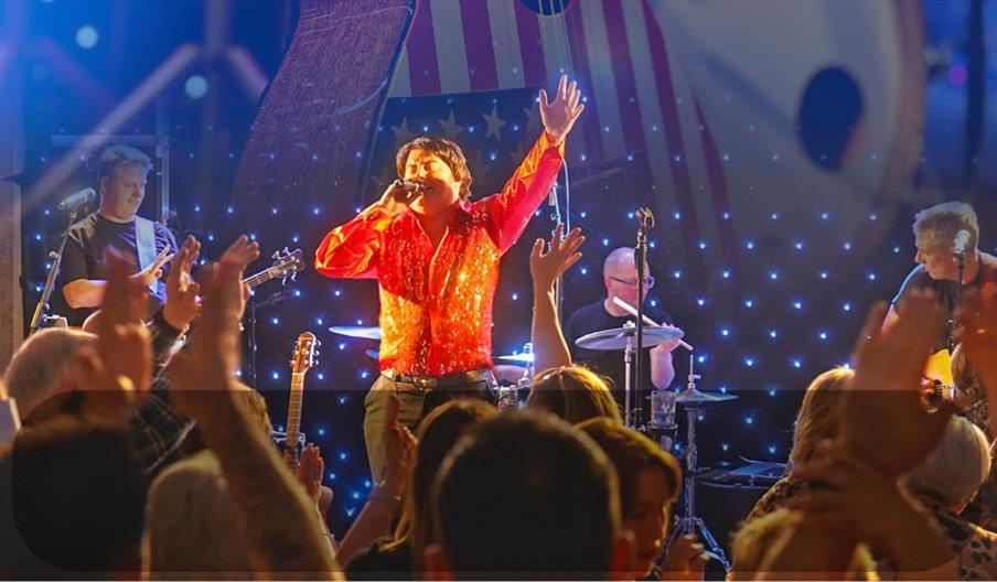 The Neil Diamond Experience