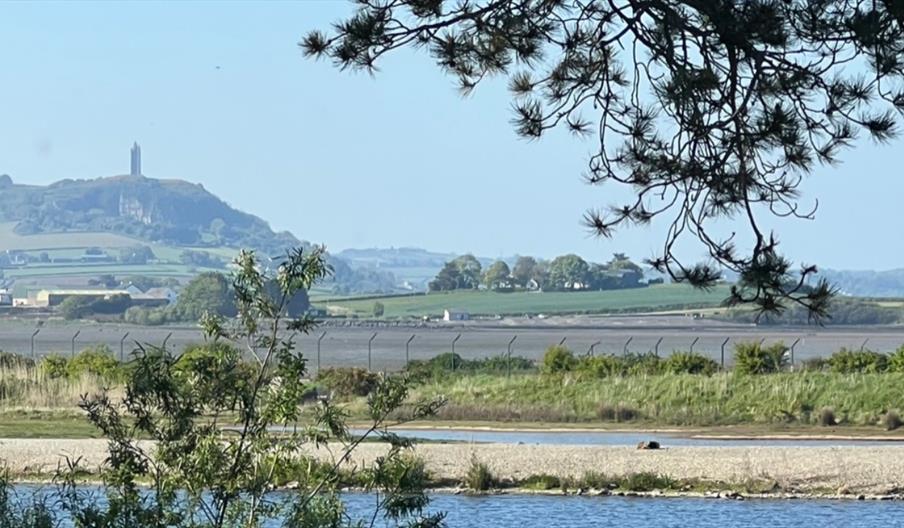 View from WWT Castle Espie next door to The Sound Healing Spa Studio