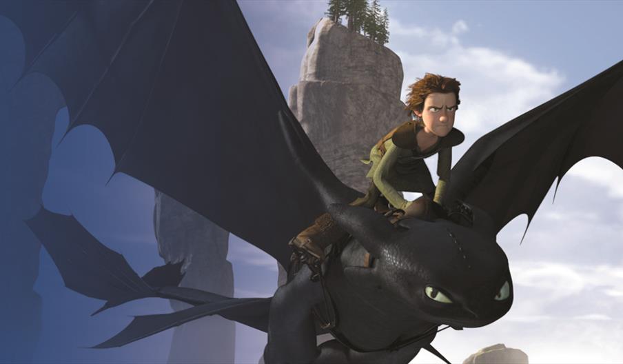 Hiccup and Toothless in flight