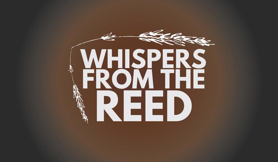 Whispers from the Reed