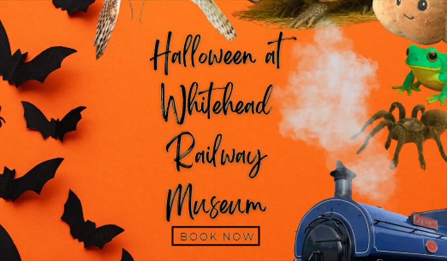 Orange image saying Halloween at Whitehead Railway Museum with train and owl
