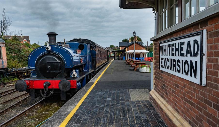 Steam train in front of station with sigh saying Whitehead Excursion