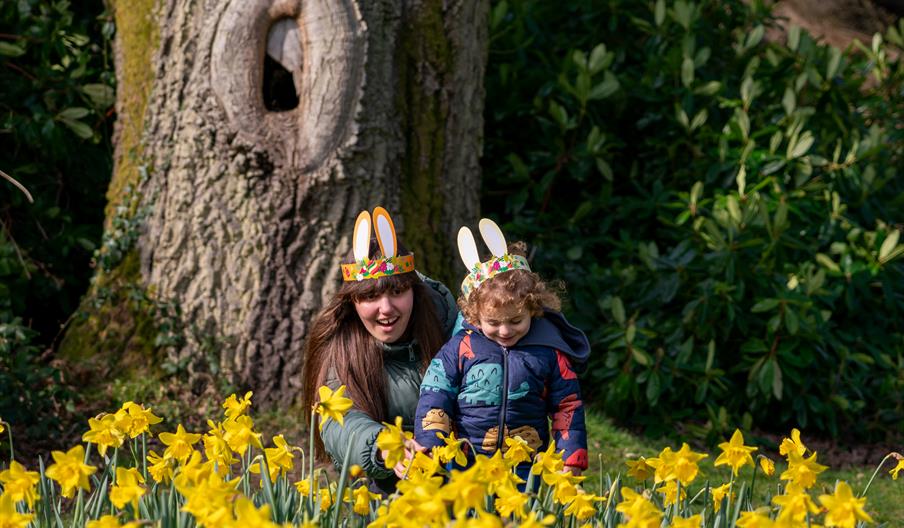 Easter at Mount Stewart