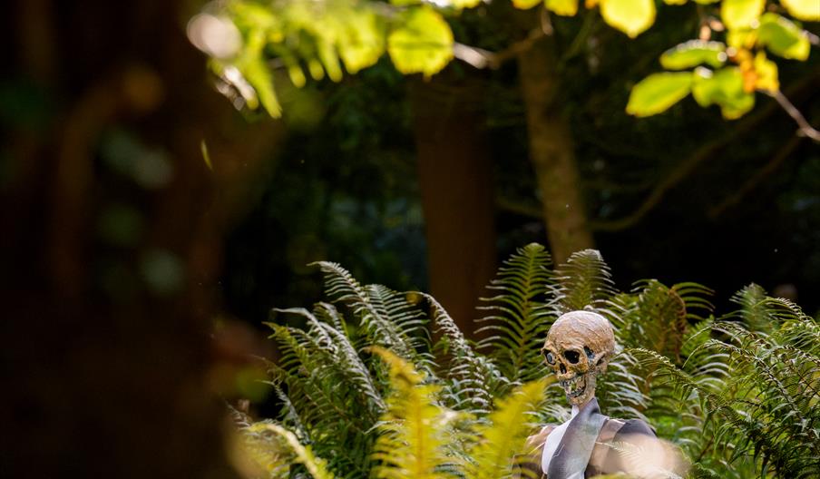 Halloween at Mount Stewart