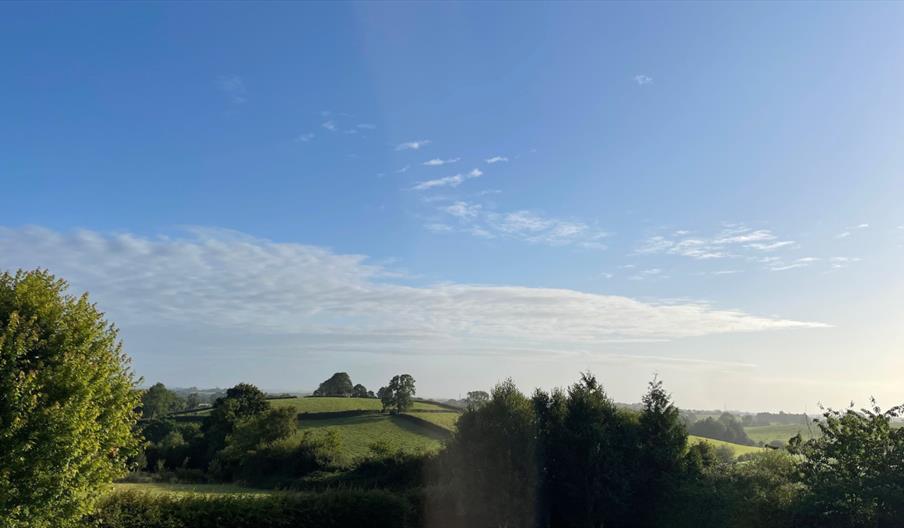 Spring Baking Class at Wee Buns Cookery School