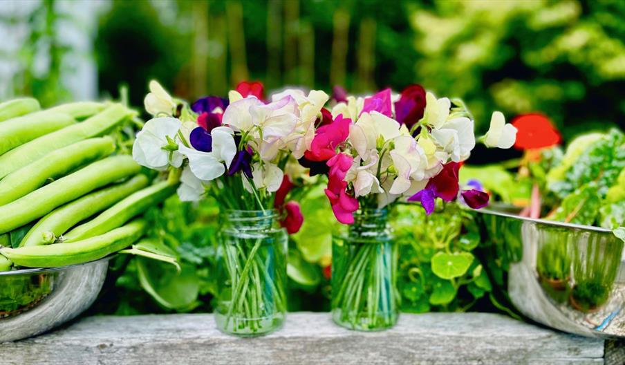 June Seasonal Baking Class at Wee Buns Cookery School