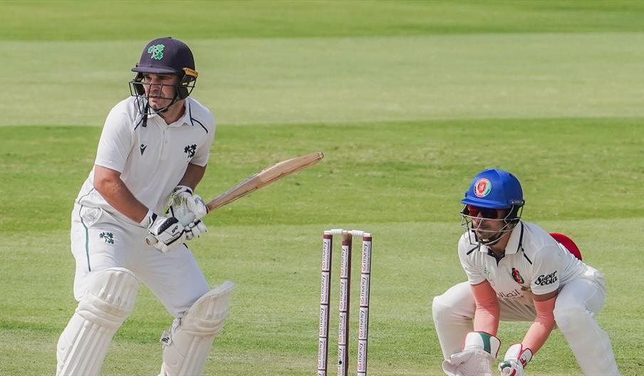 Cricket Ireland 8