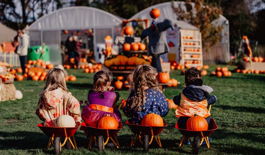 Halloween Experience at the Ark Open Farm