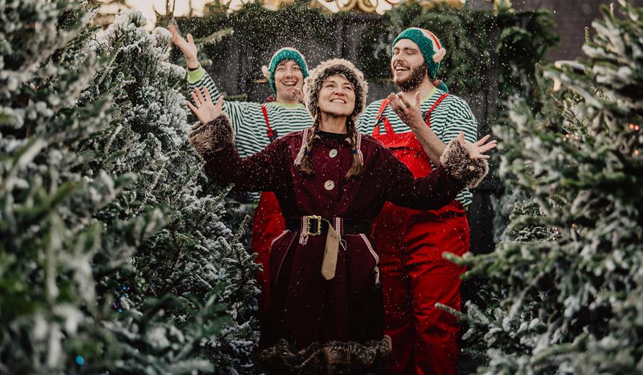 Christmas Experience at the Ark Open Farm