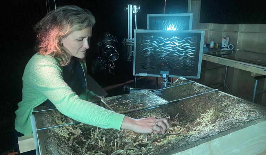 Production Design & Art Direction In Film Talent Lab With Alexandra Walker (For Ages: 16-25)