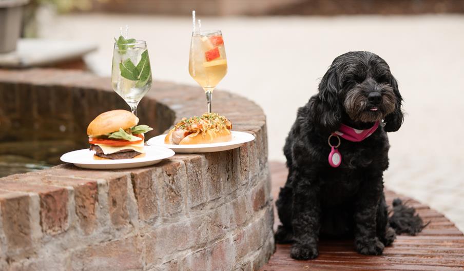 Dog friendly | Bank Holiday BBQ