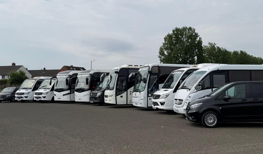 Belfast Mini Coach vehicle for Belfast Express Causeway and City Tour