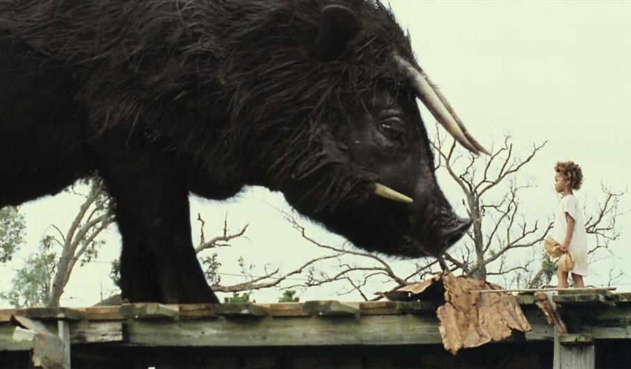 Beasts of the Southern Wild