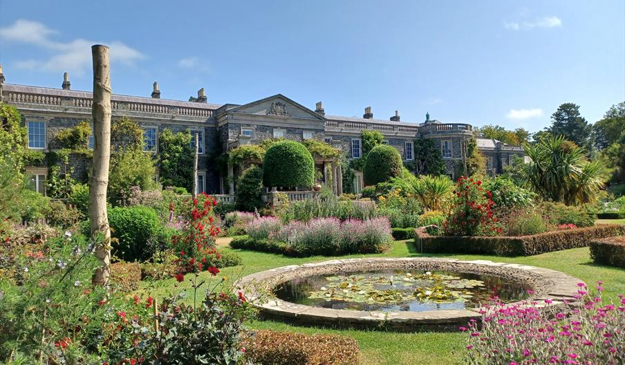 Summer in the garden