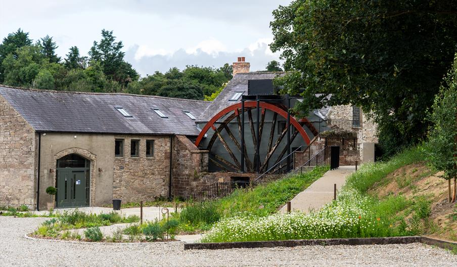 Capparelli at the Mill