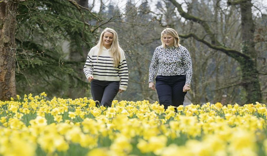 A mum and daughter walk through a field of bright yellow daffodils at Hillsborough Castle and Gardens.
