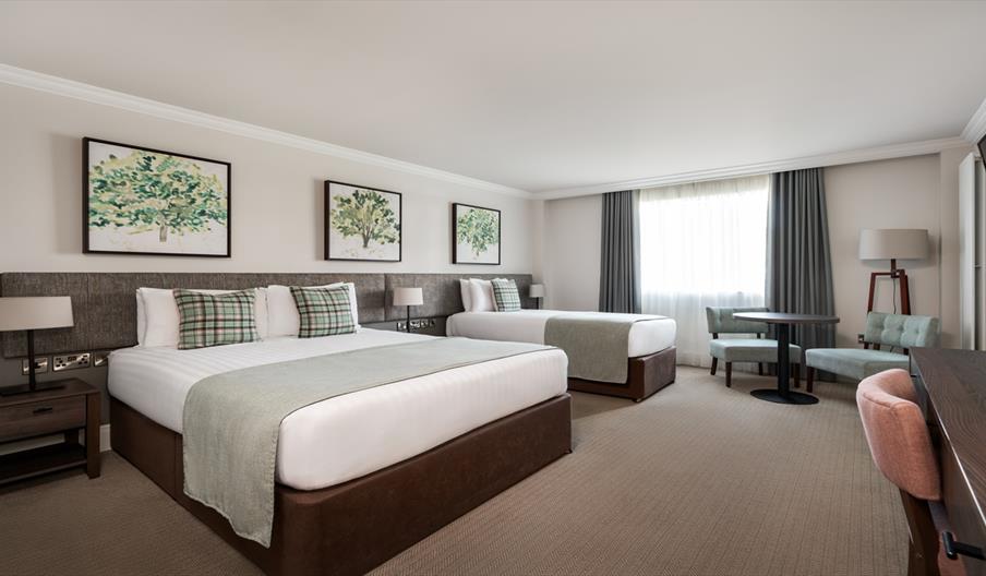 Large, bright family bedroom with king bed & single bed