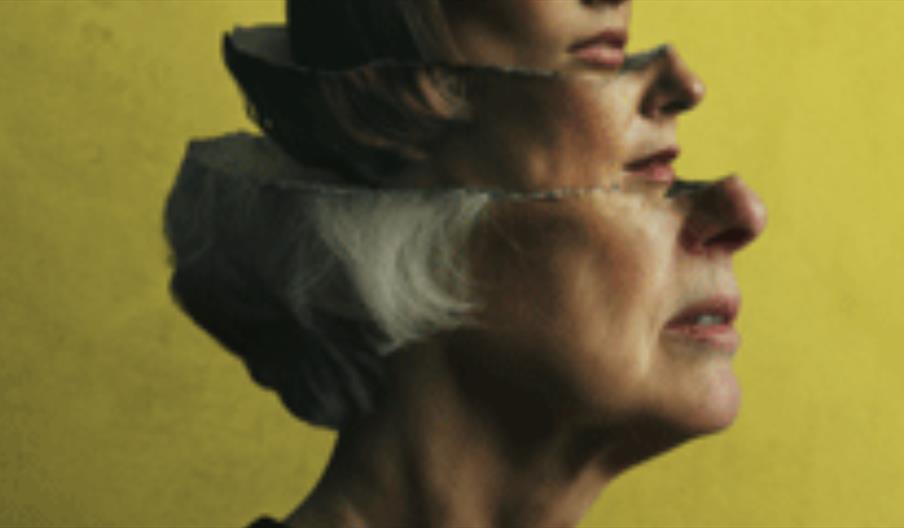 A psychedelic image of a woman's head with many other heads stacked inside. Similar to a Russian Doll, the head is topped by a house with a mouse sat