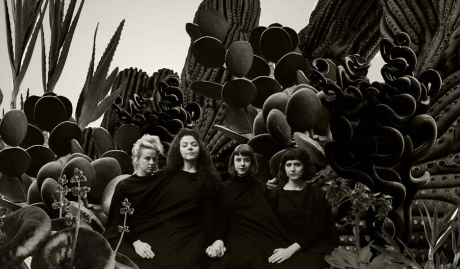 A black and white image of four women standing in front of cactus