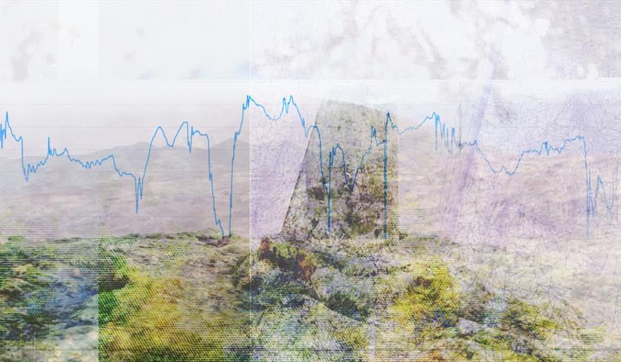 A bleak hilly, green and mossy landscape with a stone cairn off centre in the image. There is an overlaid shadow of tree branches in the skyline and a