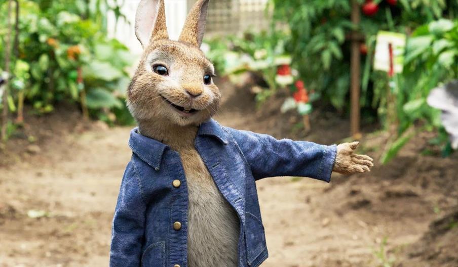 Peter Rabbit