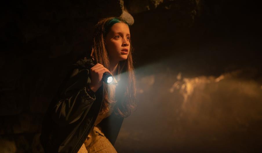 Pixie. The New Beginning