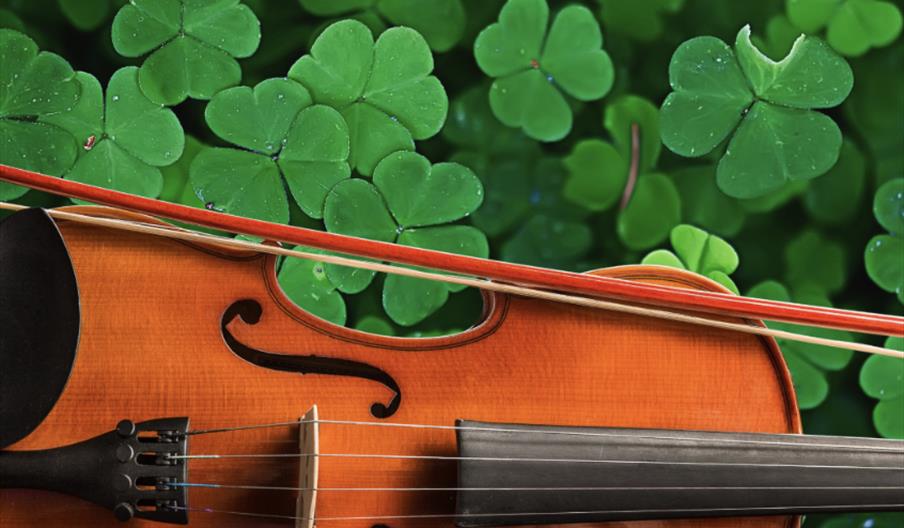 The Blind Fiddler