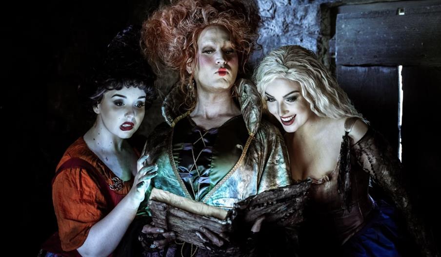 Adults Only Halloween Experience at Ark Open Farm