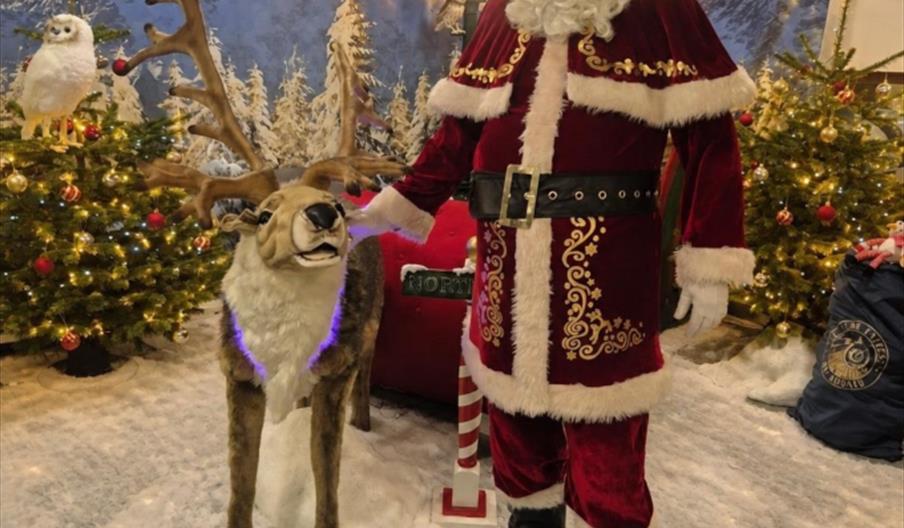 Guy dressed as Santa in winter setting with reindeer