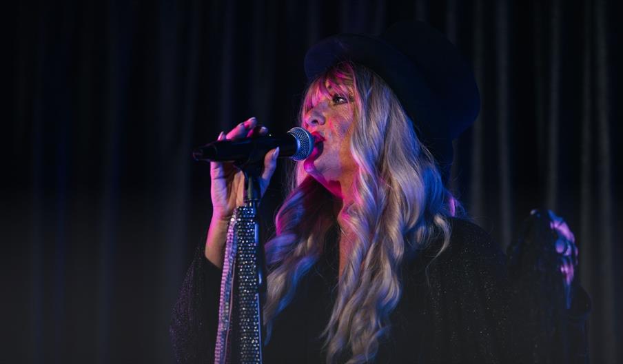 Donna Keen on stage as Stevie nicks