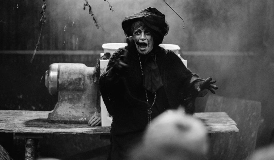 A black and white image of a woman dressed as a witch