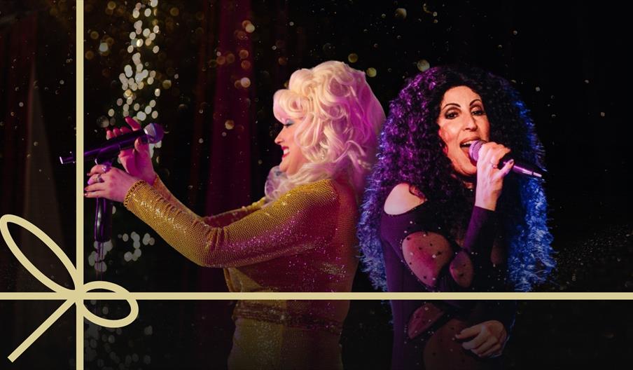 COUNTRY CHRISTMAS PARTY NIGHT WITH SHANIA & DOLLY