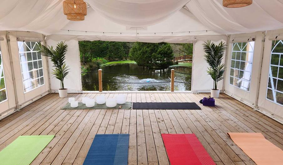 Yoga Classes