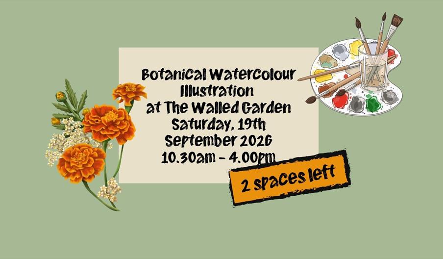 Promotional image announcing the AUTUMN Botanical Illustration Workshop at The Walled Garden, Helen's Bay.
