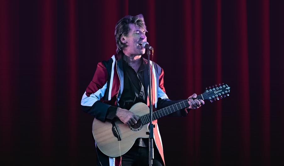 David Bowe Tribute on stage