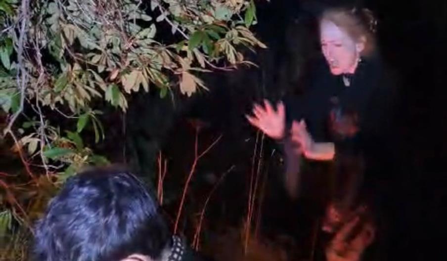 Nighttime outdoor scene with a person playing a harp under a tree while