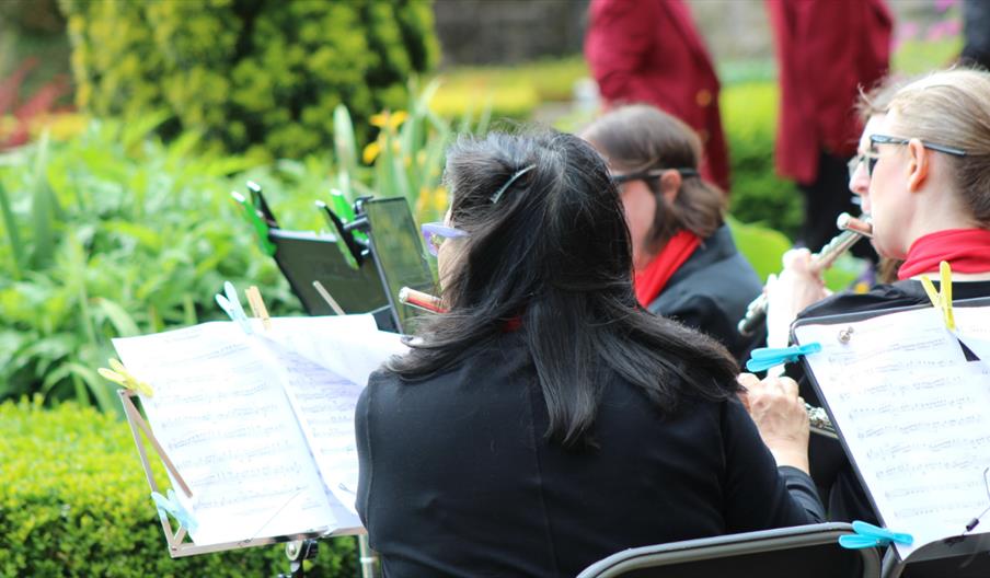 music in the park
