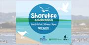Shorelife Celebration design graphic with an image of Brent Geese on Strangford Lough in the backdrop