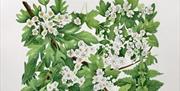botanical watercolour illustration in soft tones