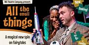 All The Small Things Flyer