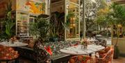 The Ivy Belfast Brasserie