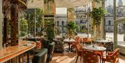 The Ivy Belfast Restaurant