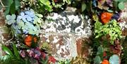 A picture of a completed autumn wreath with driied hydrangea, dried fruits and berries