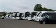 Belfast Mini Coach vehicle for Belfast Express Causeway and City Tour