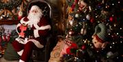 Santa Sundays Fratelli Belfast