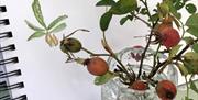 WATERCOLOUR OF PLANTS IN A JAM JAR O WATER