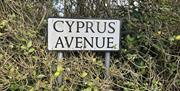Cyprus Avenue Sign