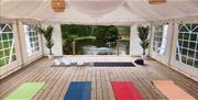Yoga Classes
