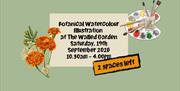 Promotional image announcing the AUTUMN Botanical Illustration Workshop at The Walled Garden, Helen's Bay.